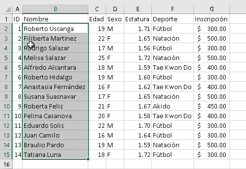 Manejo de nombres personalizados en Excel - CableNaranja