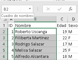 Manejo de nombres personalizados en Excel - CableNaranja