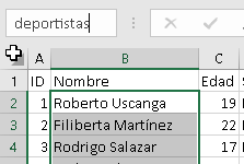 Manejo de nombres personalizados en Excel - CableNaranja