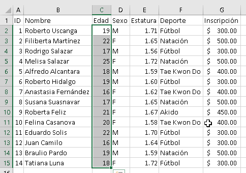 Manejo de nombres personalizados en Excel - CableNaranja