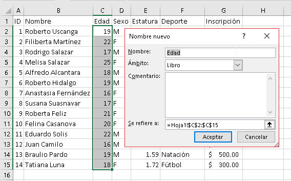 Manejo de nombres personalizados en Excel - CableNaranja